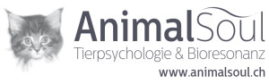Banner_Animalsoul